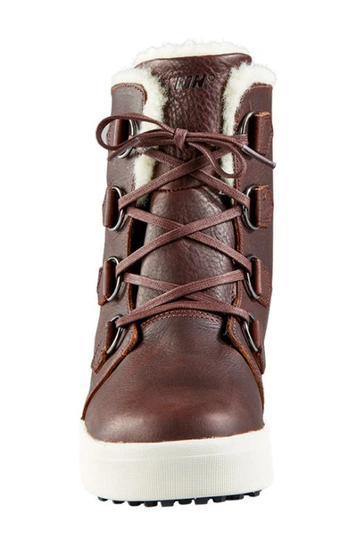 Baffin High Park Waterproof Winter Boot In Brown