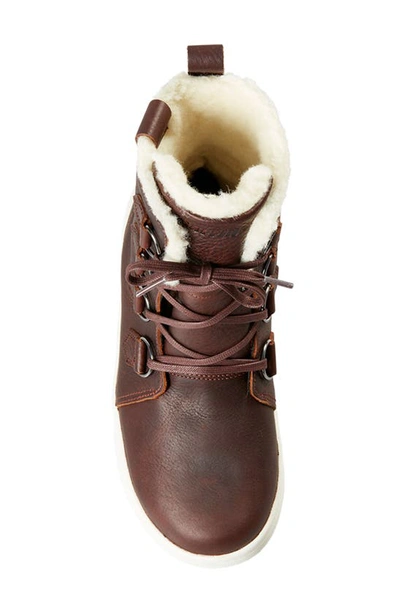 Baffin High Park Waterproof Winter Boot In Brown