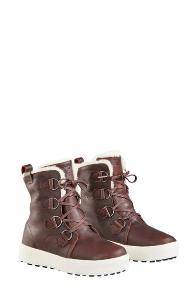 Baffin High Park Waterproof Winter Boot In Brown