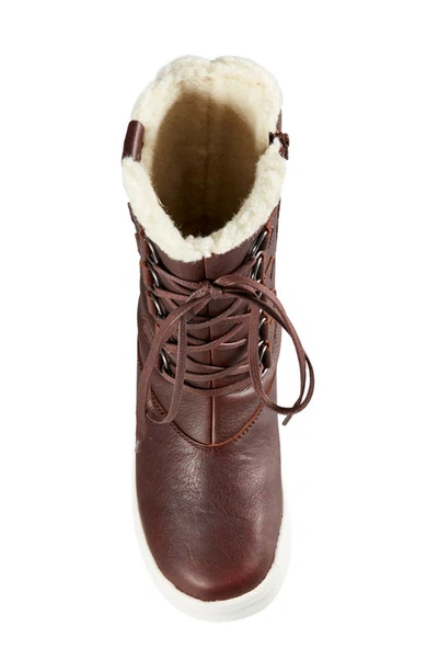 Shop Baffin Yorkville Waterproof Winter Boot In Brown