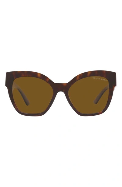 Shop Prada 54mm Polarized Irregular Sunglasses In Tortoise