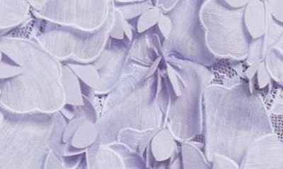 Shop Zimmermann High Tide Flip Floral Lace Miniskirt In Periwinkle