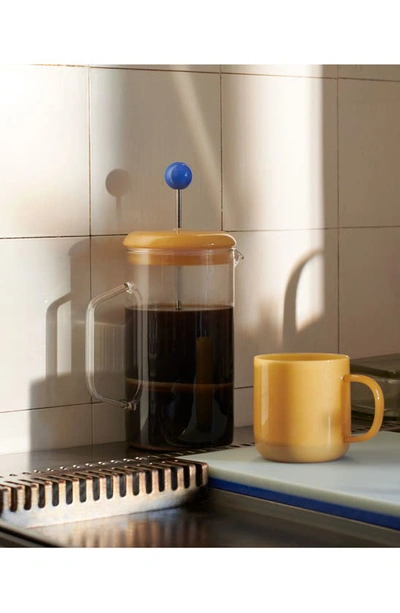Shop Hay French Press Coffee & Tea Brewer In Clear