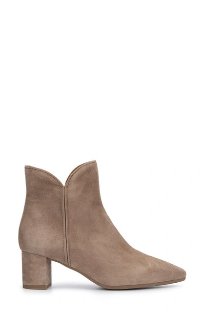 Aquatalia Kaylani Pointed Toe Bootie In Light Taupe
