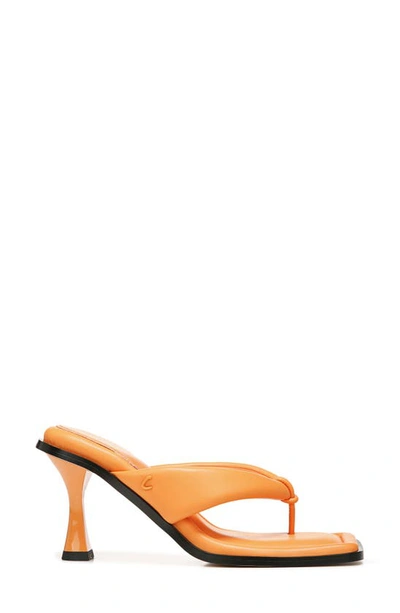 Shop Circus By Sam Edelman Skeet Sandal In Orange Cream