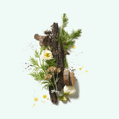 Corpus Cedar Flora Natural Deodorant