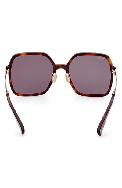 Shop Max Mara 59mm Square Sunglasses In Dark Havana / Smoke