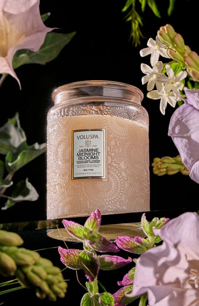 Voluspa Japonica Jasmine Midnight Blooms Large Candle In Jasmine Midnight Blooms