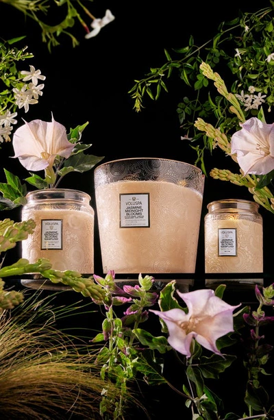 Shop Voluspa Jasmine Midnight Blooms 5-wick Hearth Candle, One Size oz