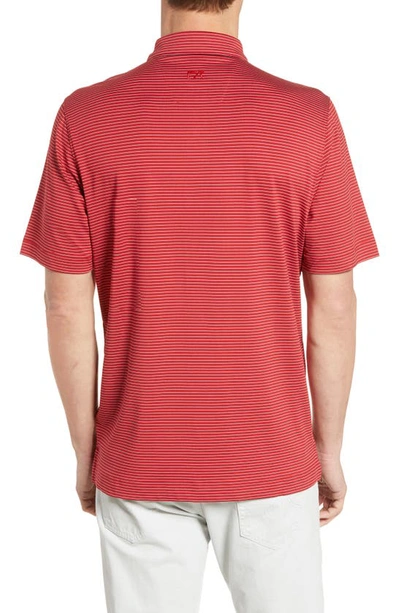 Shop Cutter & Buck Forge Drytec Pencil Stripe Performance Polo In Cardinal Red