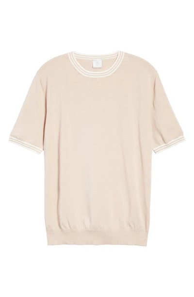 Shop Eleventy Stripe Trim Short Sleeve Cotton Sweater In Dusty Pink - White