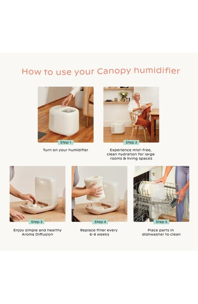 Shop Canopy Large Room Humidifier Starter Kit In White Tones