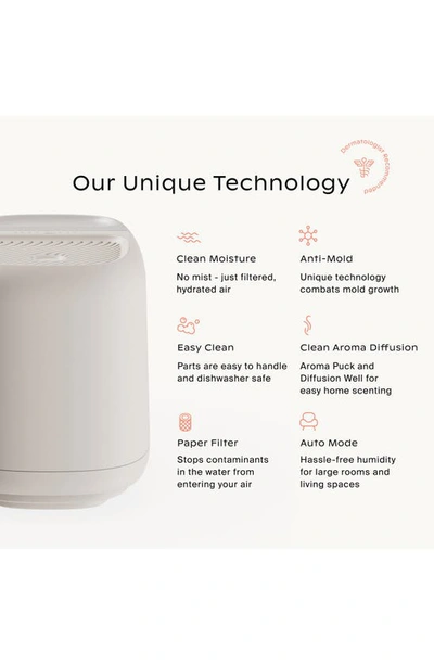 Canopy Humidifier Plus Starter Kit In White Tones