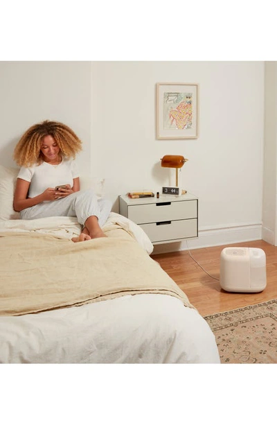 Canopy Humidifier Plus Starter Kit In White Tones