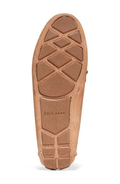 Shop Cole Haan Evelyn Bow Leather Loafer In Birch Beige Leather