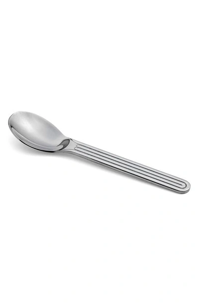 Shop Hay Sunday Set Of 5 Spoons In Silver