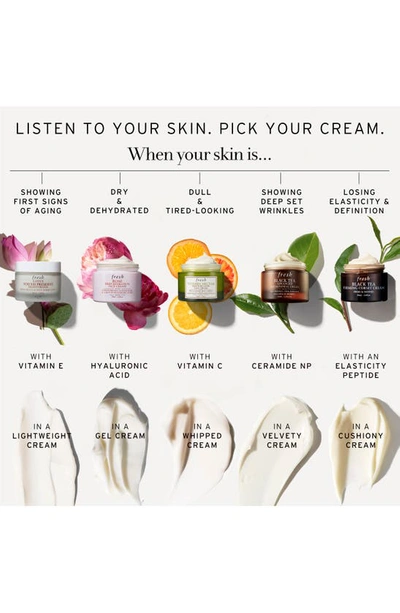 Fresh Black Tea Anti-aging Moisturizer With Retinol-alternative Bt Matrix