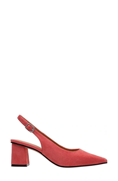 Shop Lisa Vicky Zee Pointed Toe Slingback Pump In Sunkissed