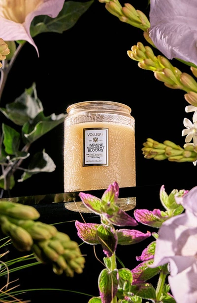 Voluspa Jasmine Midnight Blooms Small Jar Candle In Jasmine Midnight Blooms