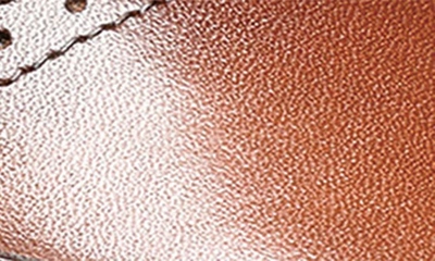 Stacy Adams Kaine Wingtip Oxford In Cognac