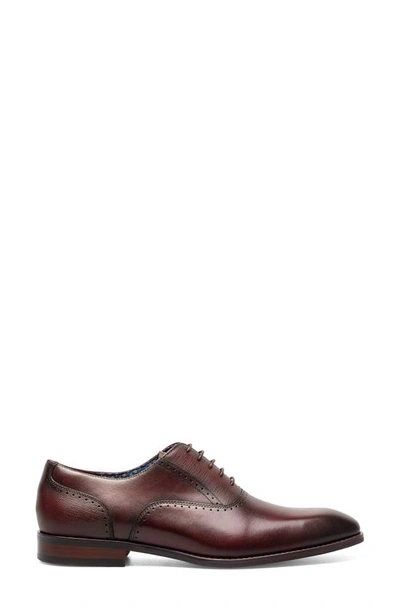 Shop Stacy Adams Kalvin Plain Toe Oxford In Burgundy