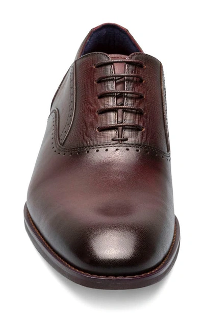 Shop Stacy Adams Kalvin Plain Toe Oxford In Burgundy