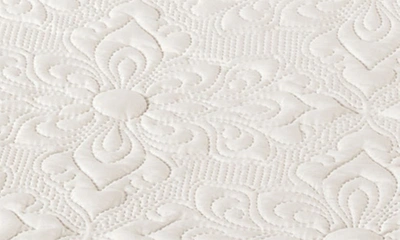 Shop Vcny Home Caroline Embossed Floral Quilt Set In White