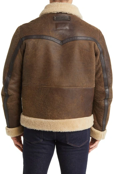 Shop Frye Leather Jacket With Genuine Shearling Trim In Dark Brown