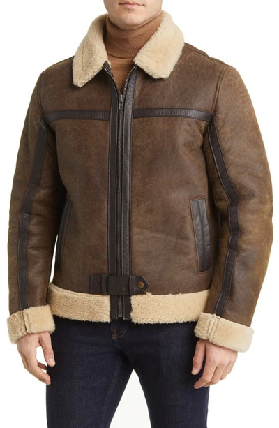 Shop Frye Leather Jacket With Genuine Shearling Trim In Dark Brown