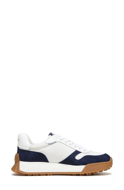 Sam Edelman Layla Sneaker Navy Suede Nylon In Navy Multi