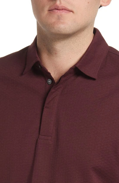 Robert Barakett Silo Cotton Blend Polo In Cabernet