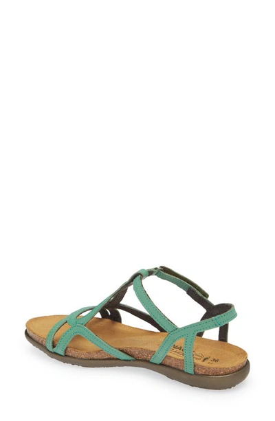 Shop Naot Dorith Sandal In Soft Jade Leather