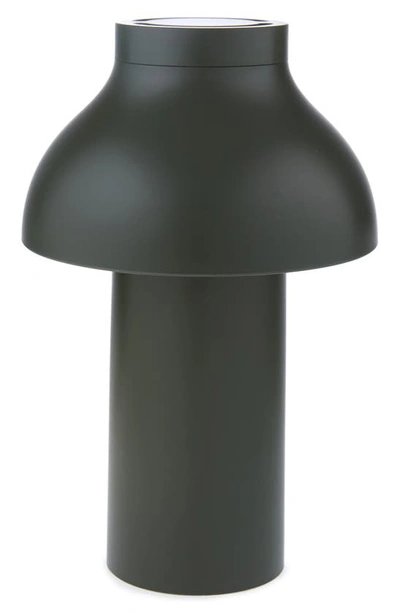 Shop Hay Pc Portable Lamp In Olive