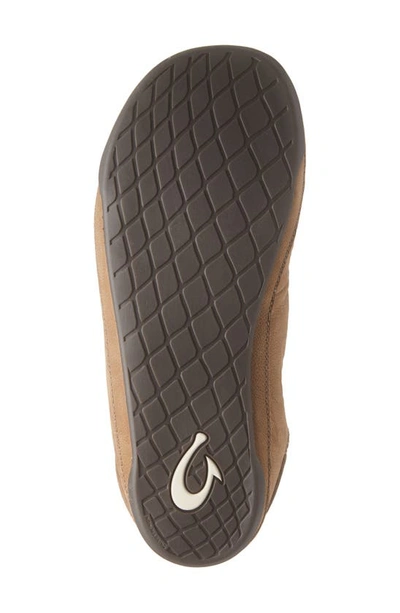 Shop Olukai Kipuka Hulu Convertible Genuine Shearling Lined Slipper In Toffee Leather