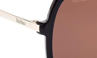 Shop Max Mara 59mm Square Sunglasses In Shiny Black / Brown