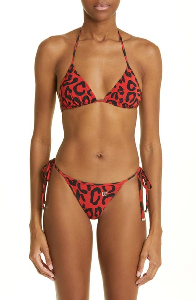 Shop Dolce & Gabbana Leopard Print Two-piece Swimsuit In Blk/ Red Pr