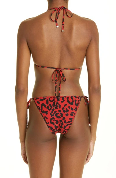 Shop Dolce & Gabbana Leopard Print Two-piece Swimsuit In Blk/ Red Pr