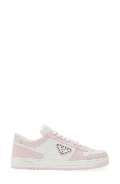 Shop Prada Logo Sport Sneaker In Bianco/ Alabastro