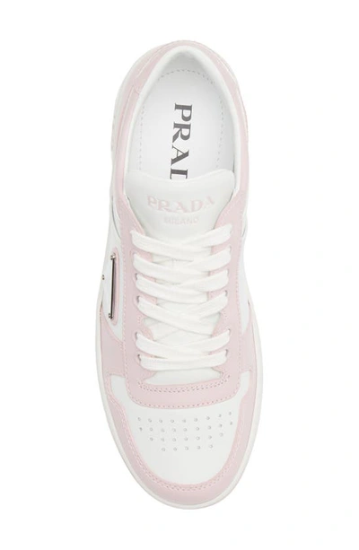 Shop Prada Logo Sport Sneaker In Bianco/ Alabastro