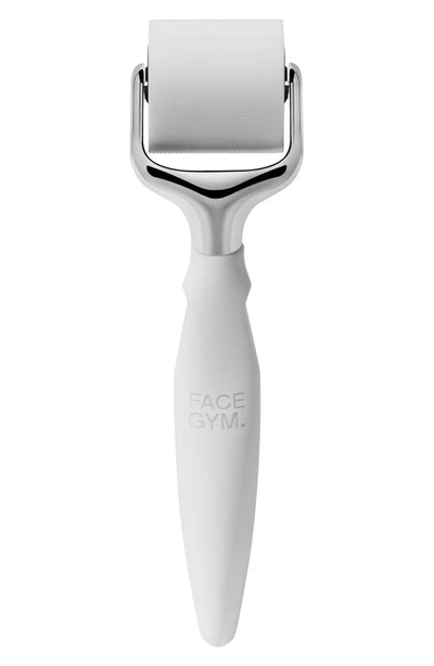 Shop Facegym Hydrating Active Roller 2-in-1 Microneedling Tool