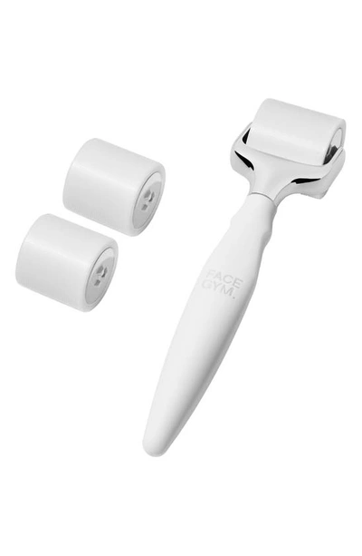 Shop Facegym Hydrating Active Roller 2-in-1 Microneedling Tool