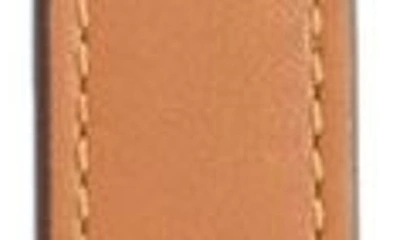 Loewe Anagram Cutout Bag Strap In Tan