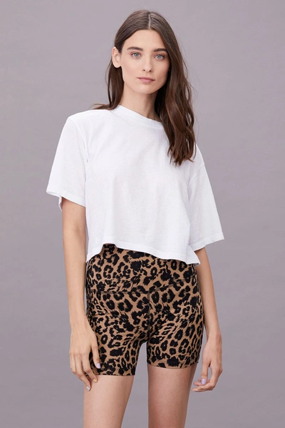 Shop Lna Clothing Shorty Bike Short In Leopard Print