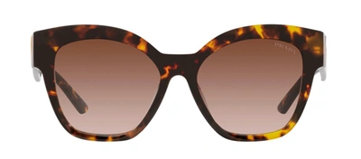 Shop Prada Pr 17zs Vau6s1 Butterfly Sunglasses In Brown