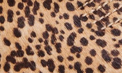 Shop Dolce Vita Silma Bootie In Leopard Calf Hair