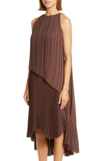 Shop Fabiana Filippi Asymmetric Pleated Sleeveless Midi Dress In Mogano