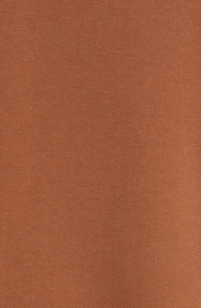 Shop Burberry Ansdell Logo Cotton Graphic Hoodie In Dark Birch Brown