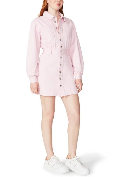 Shop Steve Madden Krisha Long Sleeve Cotton Twill Mini Shirtdress In Pink Tulle