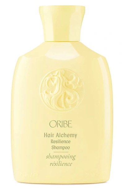 Shop Oribe Hair Alchemy Resilience Shampoo, 8.5 oz