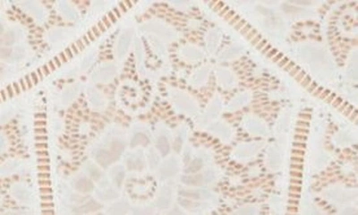 Shop Nsr Crochet Stretch Lace Midi Dress In Ivory